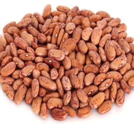 Organic Pinto Beans