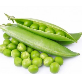 Sugar Snap Peas