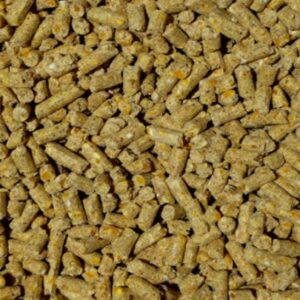 Organic Chicken and Poultry Feed