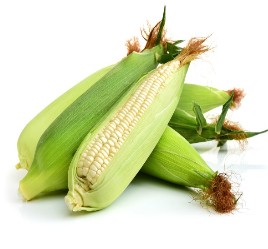 White Corn