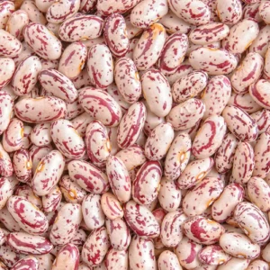 Red Sugar Beans