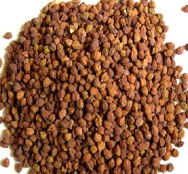 Black Chickpeas