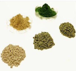 Organic Vegetable Fish Feed
